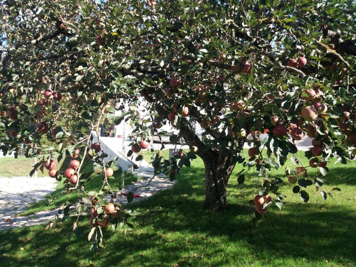 Antico Melo B&B Vignole Luaran gambar
