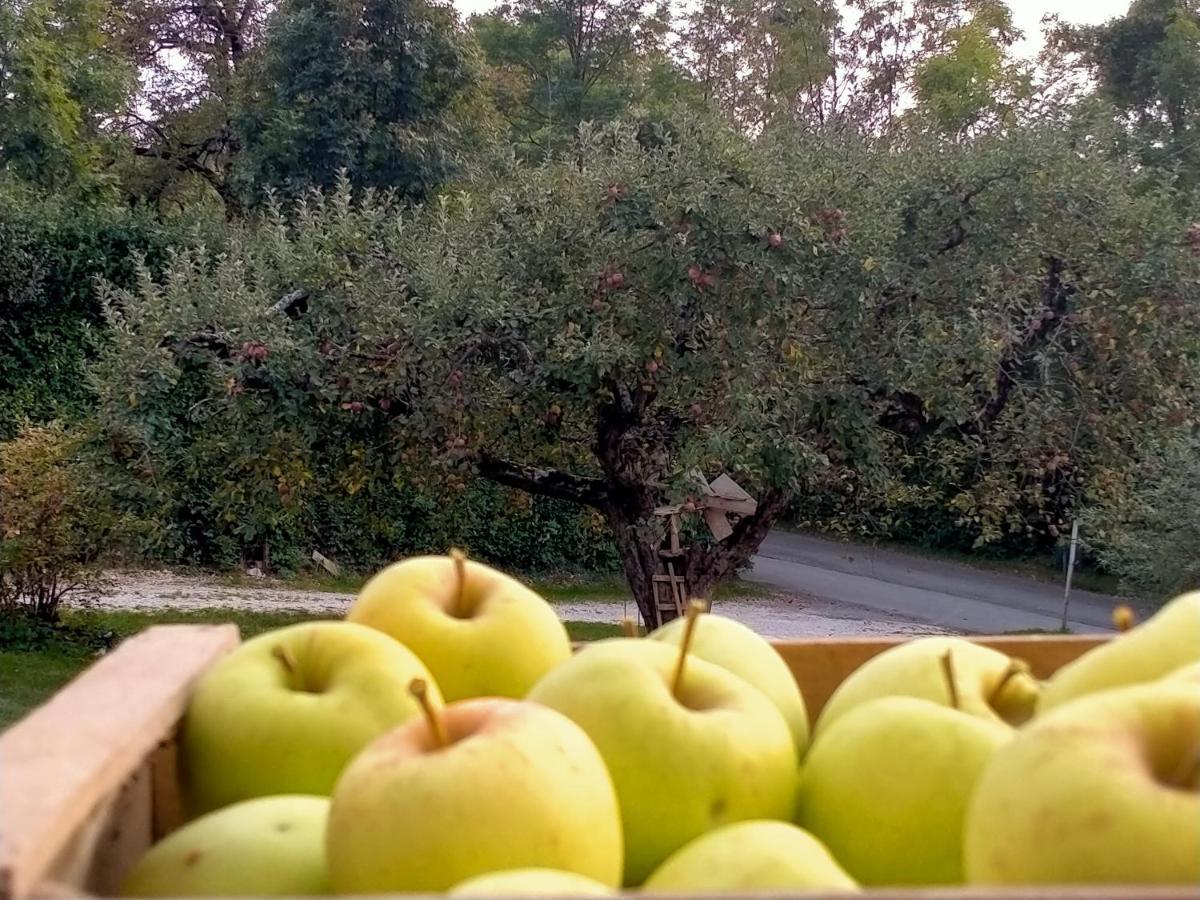 Antico Melo B&B Vignole Luaran gambar
